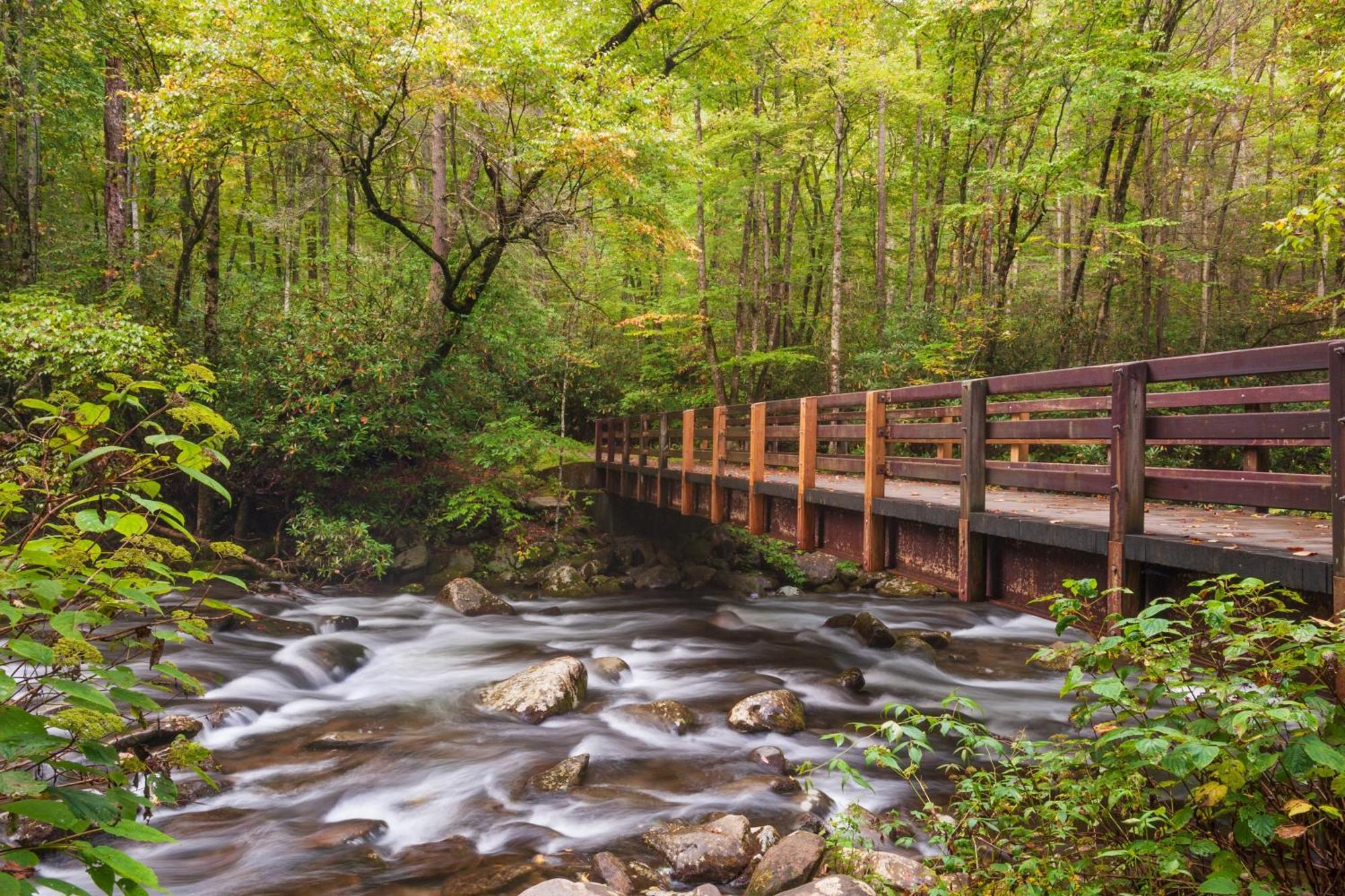 Lazy Bear Lodge, Hot Tub, Resort Pool, Wifi, 1089 Free Tickets Each Paid Day, Dollywood And More Гатлинбург Экстерьер фото