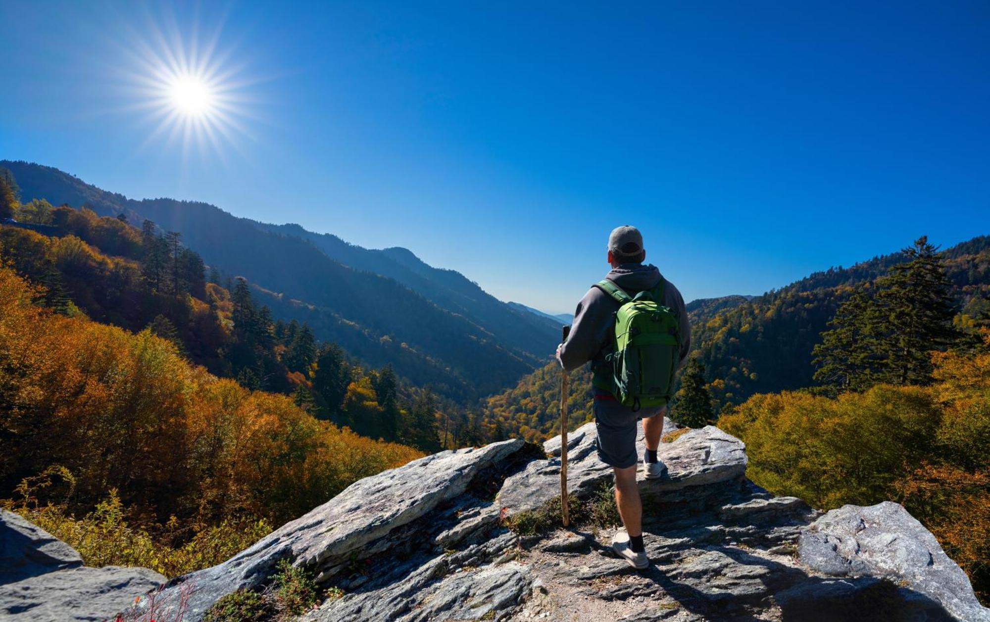 Lazy Bear Lodge, Hot Tub, Resort Pool, Wifi, 1089 Free Tickets Each Paid Day, Dollywood And More Гатлинбург Экстерьер фото